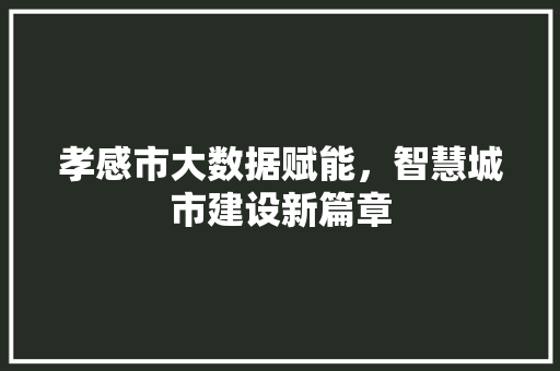 孝感市大数据赋能，智慧城市建设新篇章
