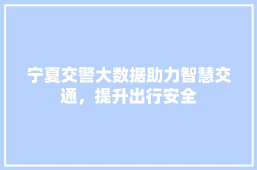 宁夏交警大数据助力智慧交通，提升出行安全