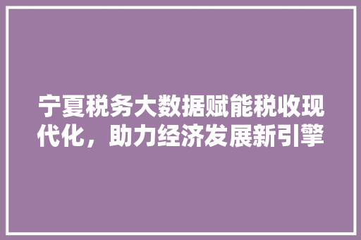 宁夏税务大数据赋能税收现代化，助力经济发展新引擎