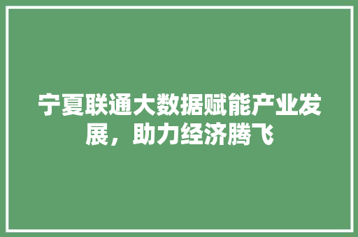 宁夏联通大数据赋能产业发展，助力经济腾飞