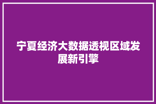 宁夏经济大数据透视区域发展新引擎