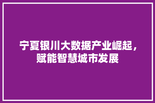 宁夏银川大数据产业崛起，赋能智慧城市发展