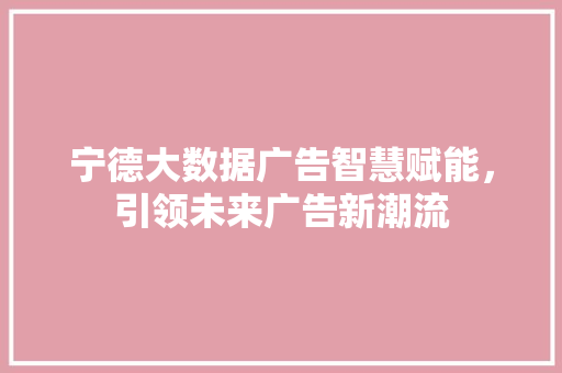 宁德大数据广告智慧赋能，引领未来广告新潮流