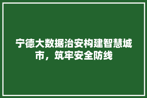 宁德大数据治安构建智慧城市，筑牢安全防线