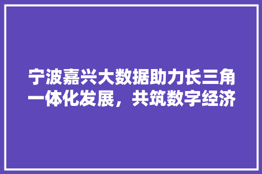 宁波嘉兴大数据助力长三角一体化发展，共筑数字经济新蓝图