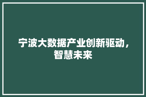 宁波大数据产业创新驱动，智慧未来