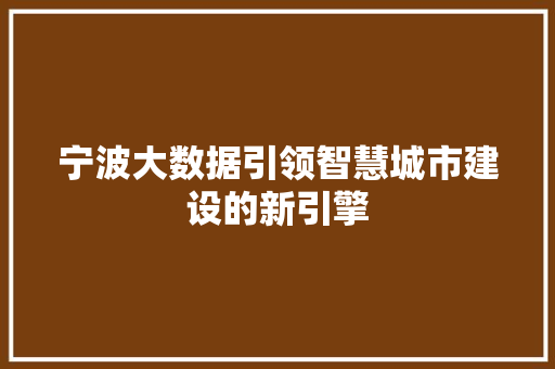 宁波大数据引领智慧城市建设的新引擎