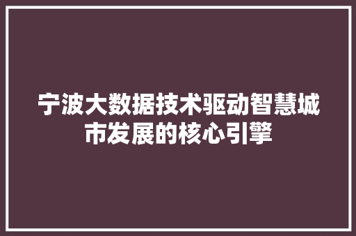 宁波大数据技术驱动智慧城市发展的核心引擎