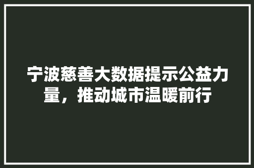 宁波慈善大数据提示公益力量，推动城市温暖前行