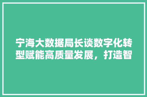 宁海大数据局长谈数字化转型赋能高质量发展，打造智慧未来