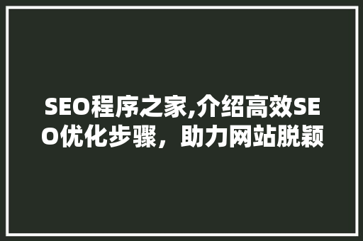 SEO程序之家,介绍高效SEO优化步骤，助力网站脱颖而出 缓存Redis