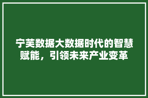 宁芙数据大数据时代的智慧赋能，引领未来产业变革
