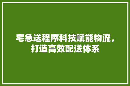宅急送程序科技赋能物流，打造高效配送体系