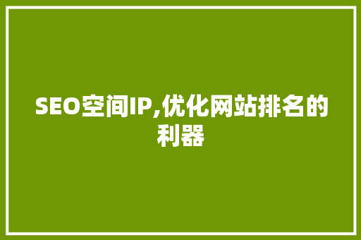 SEO空间IP,优化网站排名的利器 项目报告