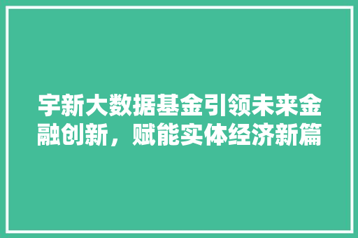 宇新大数据基金引领未来金融创新，赋能实体经济新篇章