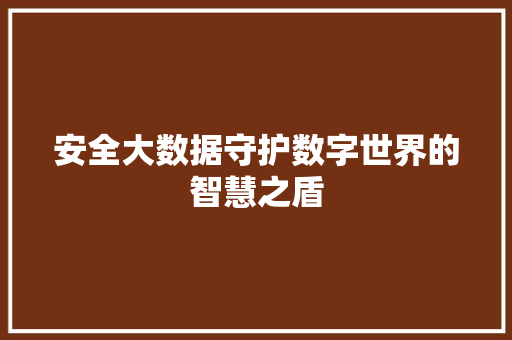 安全大数据守护数字世界的智慧之盾