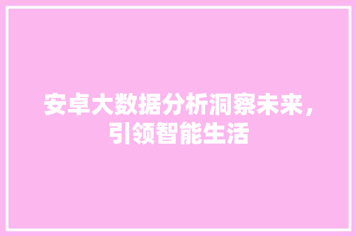 安卓大数据分析洞察未来，引领智能生活