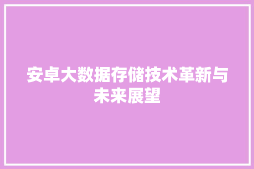 安卓大数据存储技术革新与未来展望