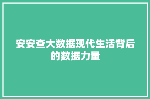 安安查大数据现代生活背后的数据力量