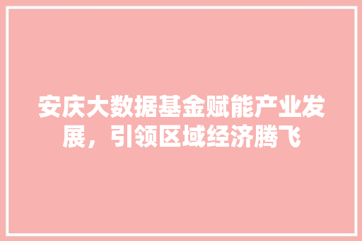 安庆大数据基金赋能产业发展，引领区域经济腾飞