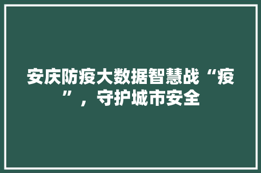 安庆防疫大数据智慧战“疫”，守护城市安全