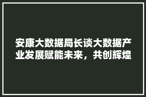 安康大数据局长谈大数据产业发展赋能未来，共创辉煌
