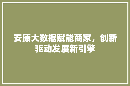 安康大数据赋能商家，创新驱动发展新引擎