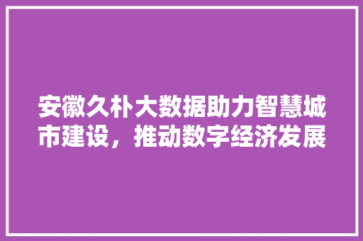 安徽久朴大数据助力智慧城市建设，推动数字经济发展