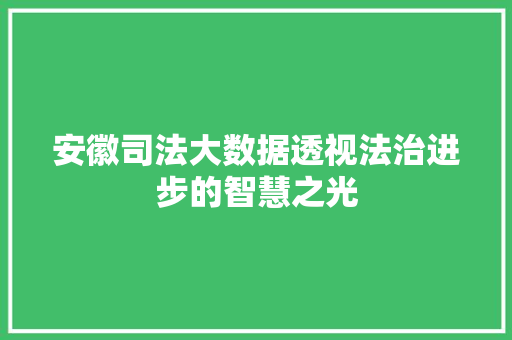 安徽司法大数据透视法治进步的智慧之光