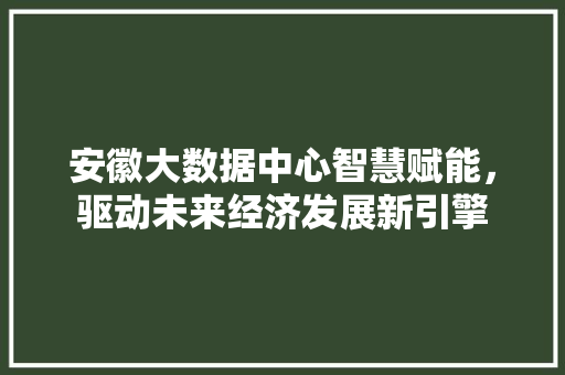 安徽大数据中心智慧赋能，驱动未来经济发展新引擎