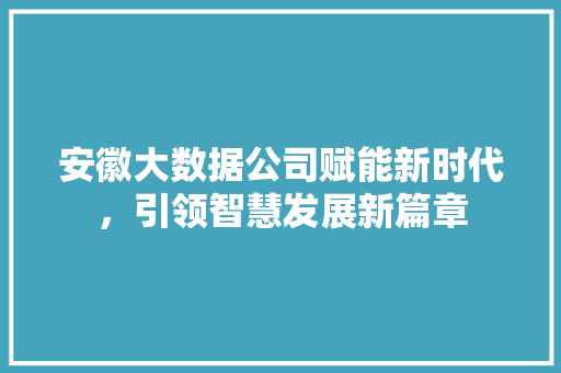 安徽大数据公司赋能新时代，引领智慧发展新篇章