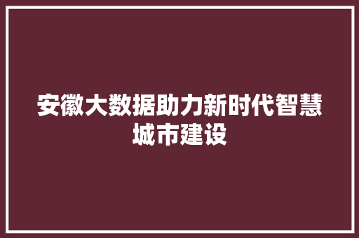安徽大数据助力新时代智慧城市建设