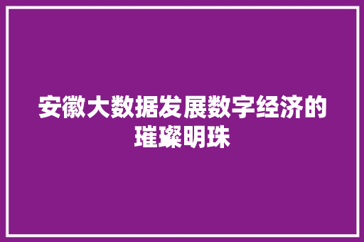 安徽大数据发展数字经济的璀璨明珠