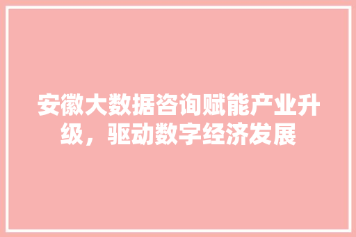 安徽大数据咨询赋能产业升级，驱动数字经济发展