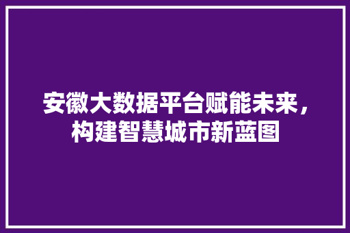 安徽大数据平台赋能未来，构建智慧城市新蓝图