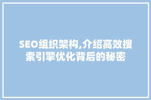 SEO组织架构,介绍高效搜索引擎优化背后的秘密