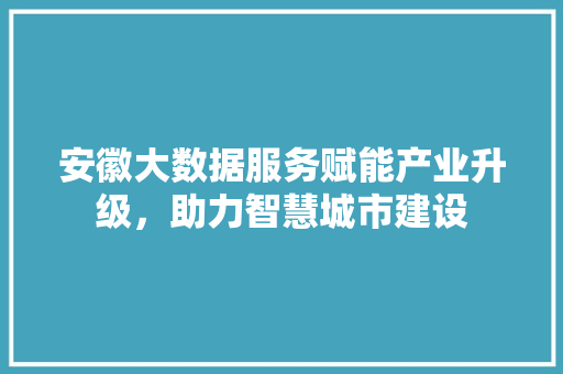安徽大数据服务赋能产业升级，助力智慧城市建设