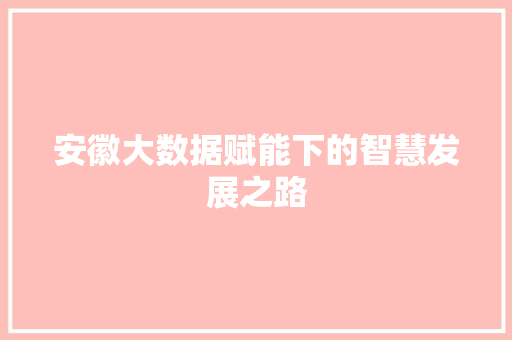 安徽大数据赋能下的智慧发展之路