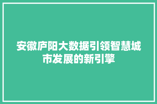 安徽庐阳大数据引领智慧城市发展的新引擎