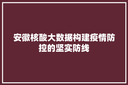 安徽核酸大数据构建疫情防控的坚实防线