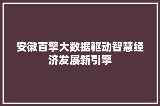 安徽百擎大数据驱动智慧经济发展新引擎