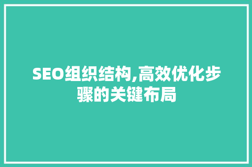 SEO组织结构,高效优化步骤的关键布局