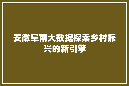 安徽阜南大数据探索乡村振兴的新引擎