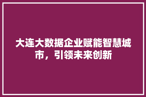 大连大数据企业赋能智慧城市，引领未来创新