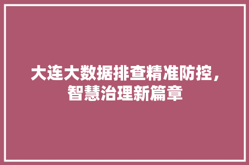 大连大数据排查精准防控，智慧治理新篇章