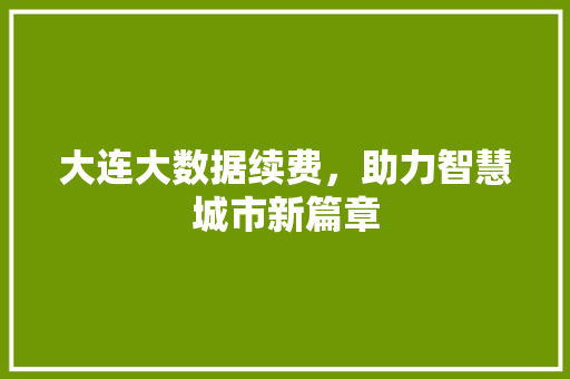 大连大数据续费，助力智慧城市新篇章