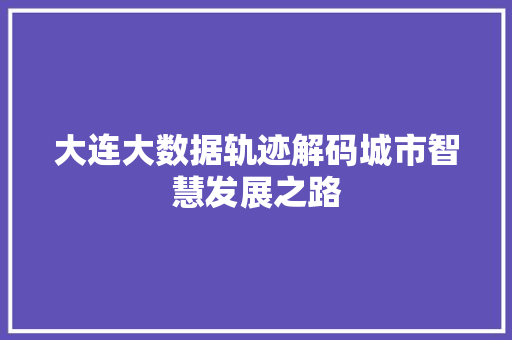 大连大数据轨迹解码城市智慧发展之路