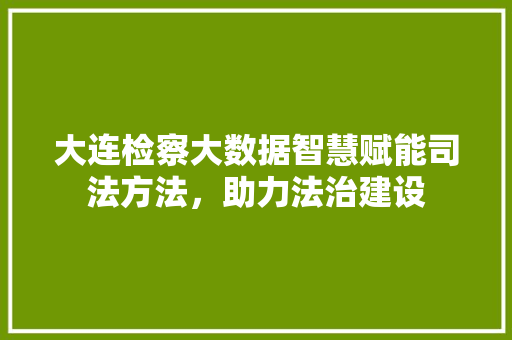 大连检察大数据智慧赋能司法方法，助力法治建设
