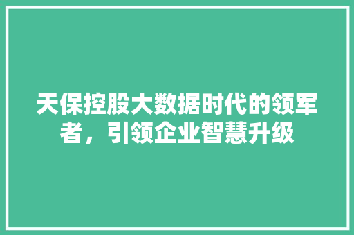 天保控股大数据时代的领军者，引领企业智慧升级