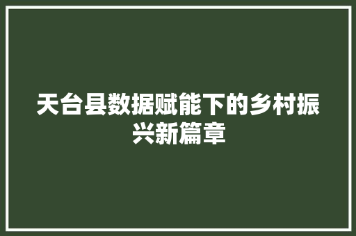 天台县数据赋能下的乡村振兴新篇章